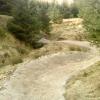 Hully Gully